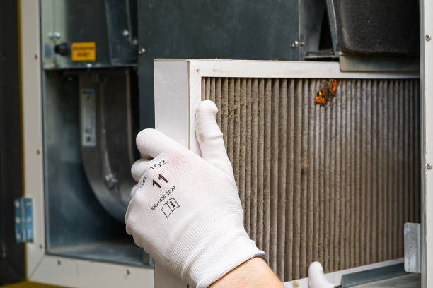 Best Residential Air Duct Cleaning  in George Mason, VA