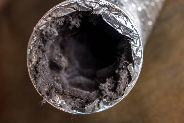 Best Dryer Vent Cleaning Services  in George Mason, VA